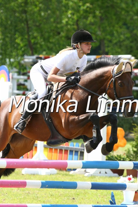 204M4240_Redless Pepper_Spring_L.JPG